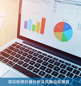 項(xiàng)目投資價(jià)值分析及風(fēng)險(xiǎn)論證報(bào)告