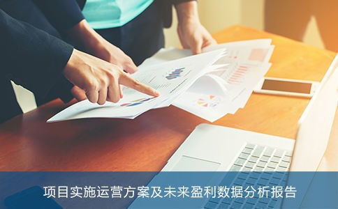 撫州項目投資價值數據分析.償債能力及未來收益綜合論證豐奧數據