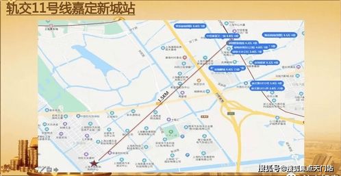 2021上海嘉定 深度解析 項目的投資價值以及升值前景
