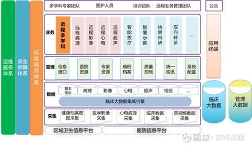 康康組合 衛寧健康與創業慧康投資價值深度分析