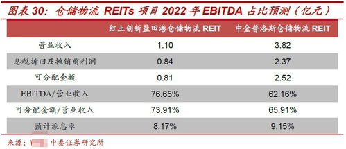 公募REITs投資價值分析 項目投資價值探究