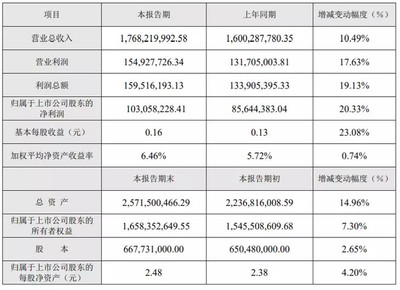 未來轉債申購價值分析 投資機遇與風險評估